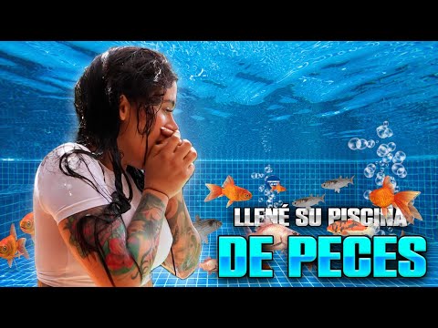 Lleno su piscina con peces 😂 | Yeferson Cossio