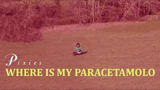 Download lagu Calcutta   Pixies = where is my paracetamolo (*mashup*) mp3