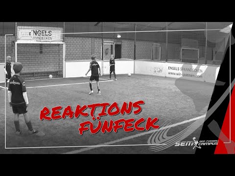 Reaktionsfünfeck - SEM Fußballtraining