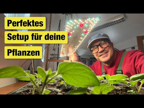Gartensaison-Start: Voranzucht & Pikieren meistern!