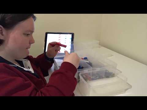 LEGO Creator 3-In-1 Set 31085 Mobile Stunt Show Piece Sorting