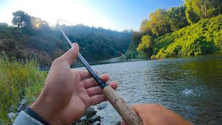 I Slept in My Car in Search of a KING SALMON in a Crystal Clear River