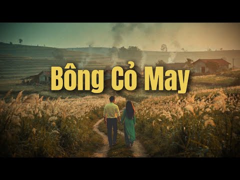 BÔNG CỎ MAY – Classic Rock Ballad | TG: Trúc Phương | Giọng nam lạ, cảm xúc sâu | CACK