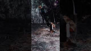 Download lagu Story WA PSHT mp3