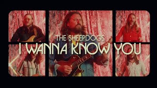 Music video thumbnail preview for The Sheepdogs - I Wanna Know You (Official Music Video) by The Sheepdogs