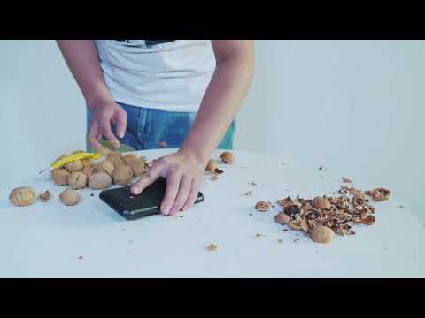 Doogee S95 Pro break walnut