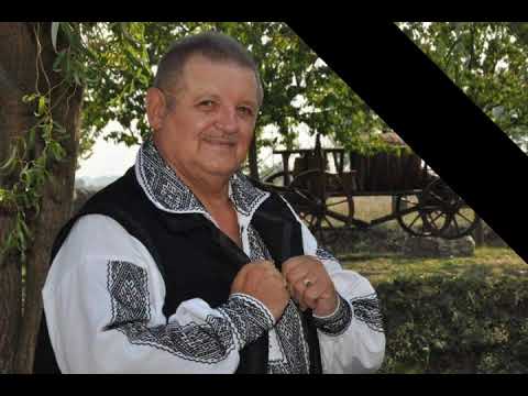 Petrică Moise - Am iubit un an și-o vară