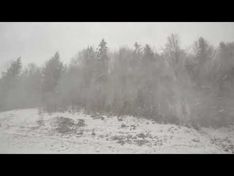 Arieșeni, jud Alba - Munții Apuseni (ianuarie 2022)