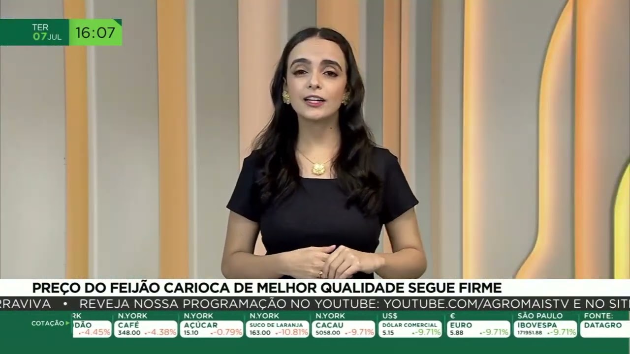 Preço do feijão carioca de melhor qualidade segue firme