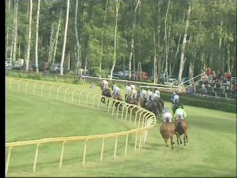 LL, 6. 7. 2016, 8. dostih - CENA společnosti Solight