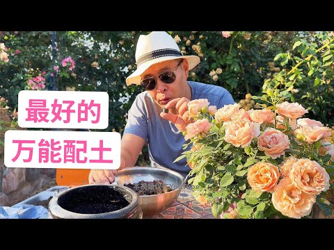 土配