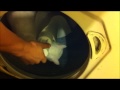 Washing Machine Cat