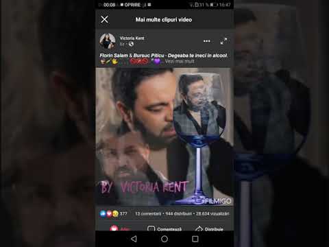 F.Salam și Bursuc Piticu-Degeaba te îneci in alcool🍷 #promo