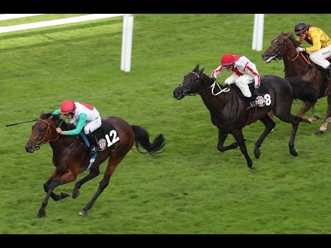 Hamburg: Hamburger Flieger Trophy (Gruppe 3) - Sieger: Schäng