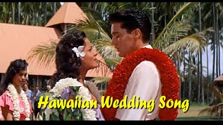 ELVIS PRESLEY - Hawaiian Wedding Song  ( New Edit ) 4K
