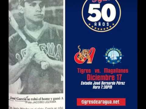 AREPAS EN VALENCIA, Tigres de Aragua 4 Magallanes 0. jueves 18/12/2015