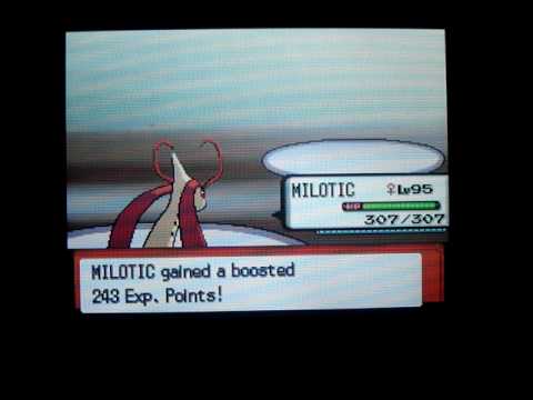 EXTREME EV Training: Milotic +69 Sp. Attack