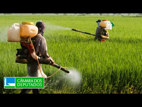 Políticas públicas para redução do uso de agrotóxicos no Brasil - Meio Ambiente - 06/06/24