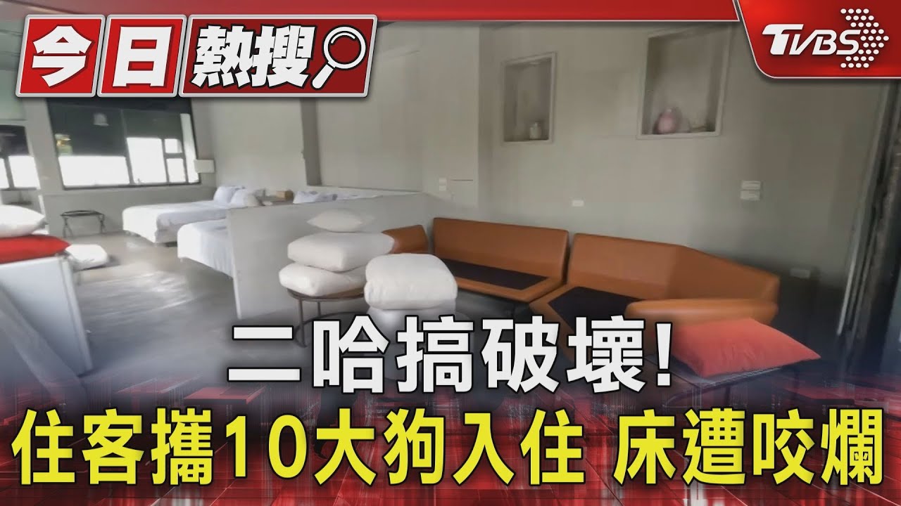 二哈搞破壞!住客攜10大狗入住 床遭咬爛