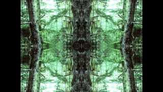 Warlock* - Solid Rez Grid