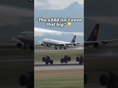 The true size of the a340 😮‍💨 - #aviation #planes #avgeeks #a340 #landing #fyp