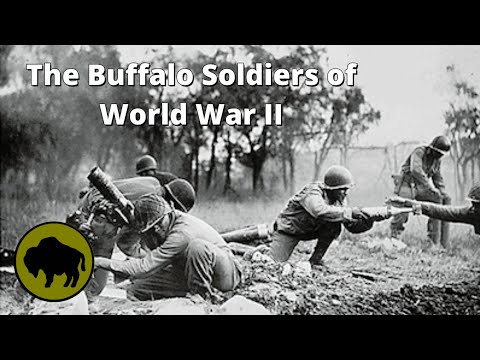 The Buffalo Soldiers of WWII - The Story of the 92nd Infantry's Heroic Efforts in Europe During WWII