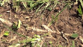 Diário de Imagens 11.04.2014