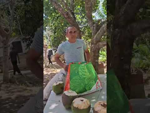 dia dos pais em chã de alegria, pe
