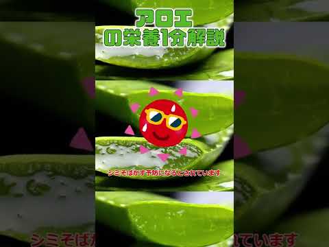 アロエ・ラメアニ