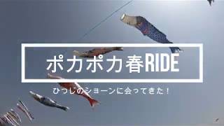 ポカポカ春RIDE！鯉のぼりとひつじのショーン