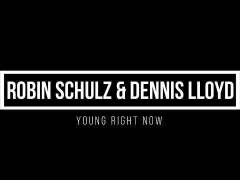 Robin Schulz & Dennis Lloyd   Young Right 1 hour mix