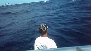 preview picture of video 'Fishing Cap Cana D.R. 20# Dorado'