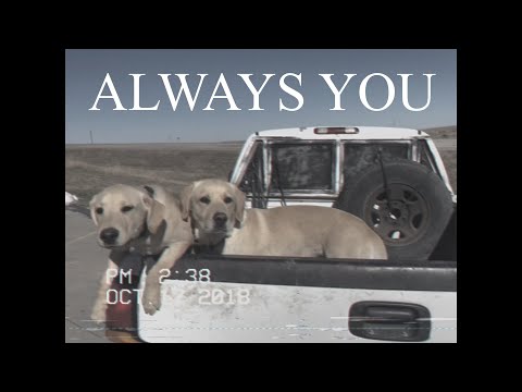 Andy's Room - Always You (Official Music Video)