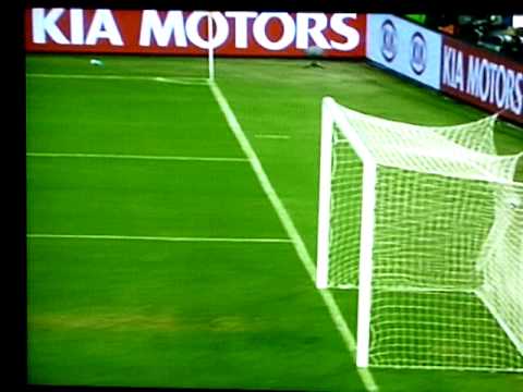 WM 2010 - Deutschland ist im Achtelfinale durch Mesut Özil (Bericht zum Tor)