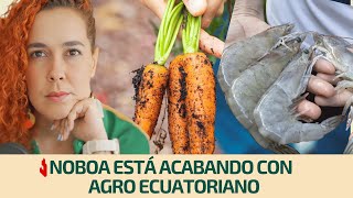 Noboa is destroying Ecuadorian agriculture | Eliminating the subsidy hurts everyone