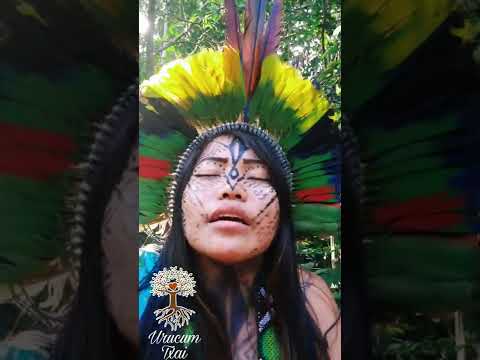 🍃✨Txana Shãkuany Inany, Grupo Aibu Keneya , Povo Originário Hunikuin -Música de Rezo-Medicina Song✨🍃