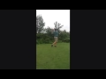 Chad Dubiel Class of 2016 swing video