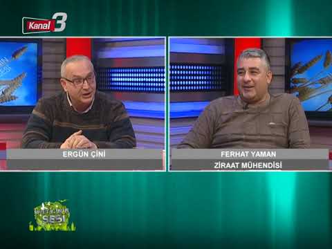 KANAL 3’TE SABAH 12 02 2019