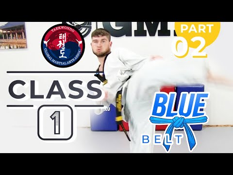 Taekwondo - Blue Belt - Class 1 (Part 2) thumbnail