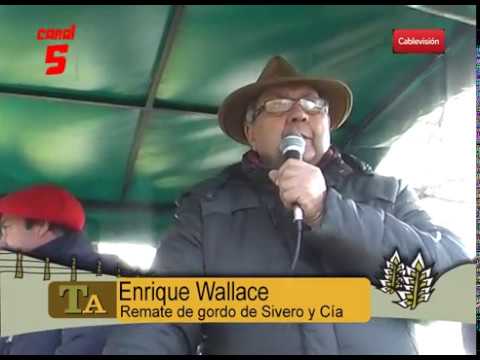 REMATE DE GORDO Y PRECIOS 02-08-18