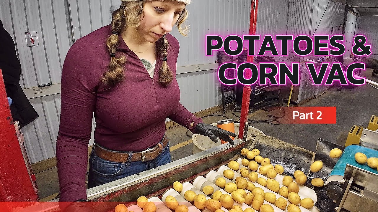 Back at it Potatoes & Corn Vac