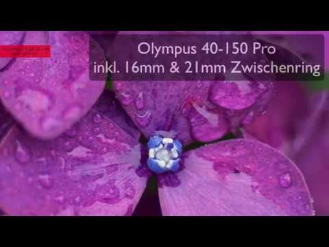 Makrofotografie mit Zwischenringen - wie macht man das und was bringt es