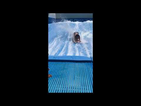 Ivette 2 Surf Royalton Bavaro