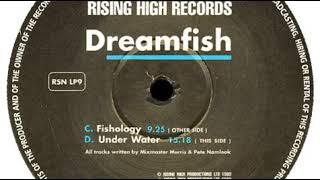 Dreamfish   Under water 1993