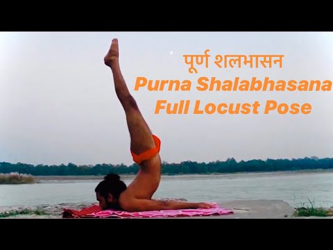 How to do Purna Shalabhasana (Full Locust Pose)पूर्ण शलभासन / hatha yoga /ashtanga/Govind Das Udasin