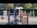 CAVALLA SALTO SELLA ITALIANA