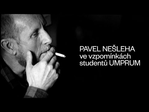 Pavel Nešleha / Vidět jinak