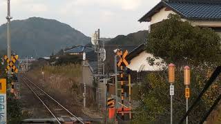 【後面展望】JR山陰本線仙崎支線　往復　長門市⇔仙崎　2024年度