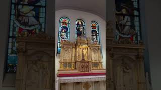 Chapel am Rhein near from Frankfurt ライン川沿いのチャペルでの結婚式#shorts