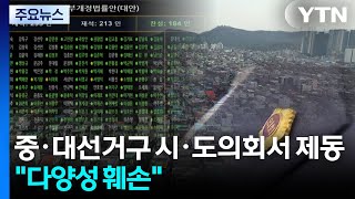 중·대선거구 시·도의회서 제동..."정치적 다양성 훼손" / YTN